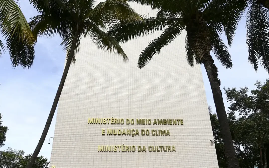 Personalidade que colabora com cultura pode ter título de embaixador
