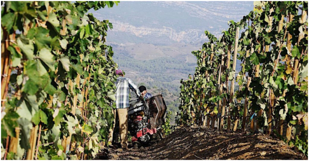 vinícola clos mogador espanha