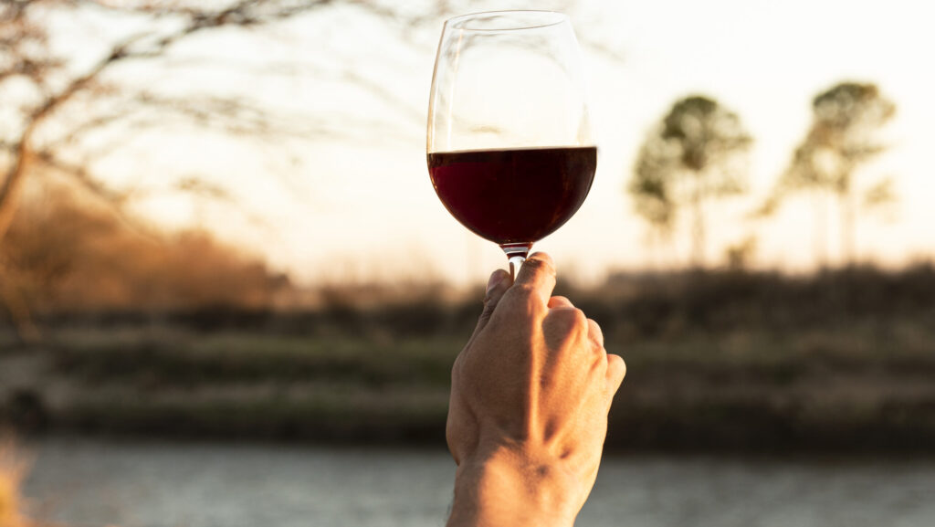 pessoa segurando taça de vinho