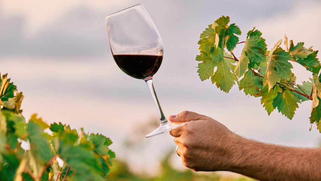 Taça de vinho em vinhedo