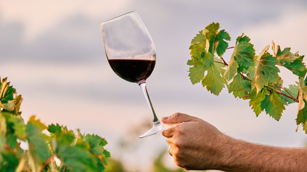 mão segurando taça de vinho