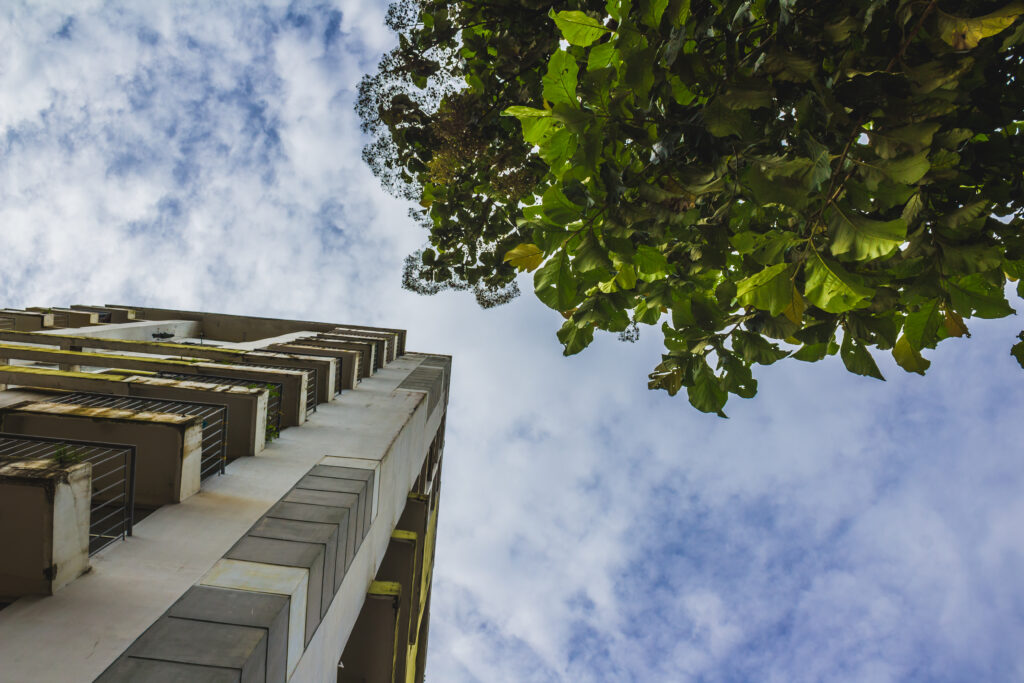 construção sustentável ao lado de árvore