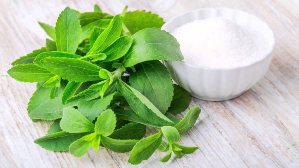 stevia substituto do açúcar