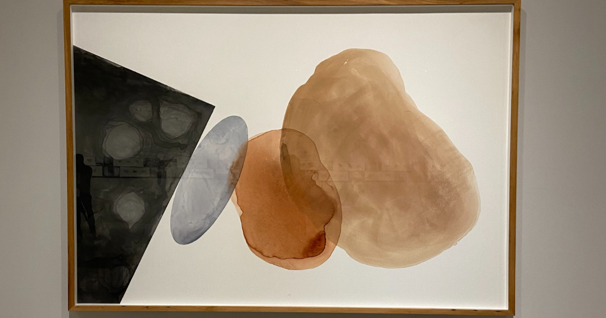 pintura de josé alberto nemer