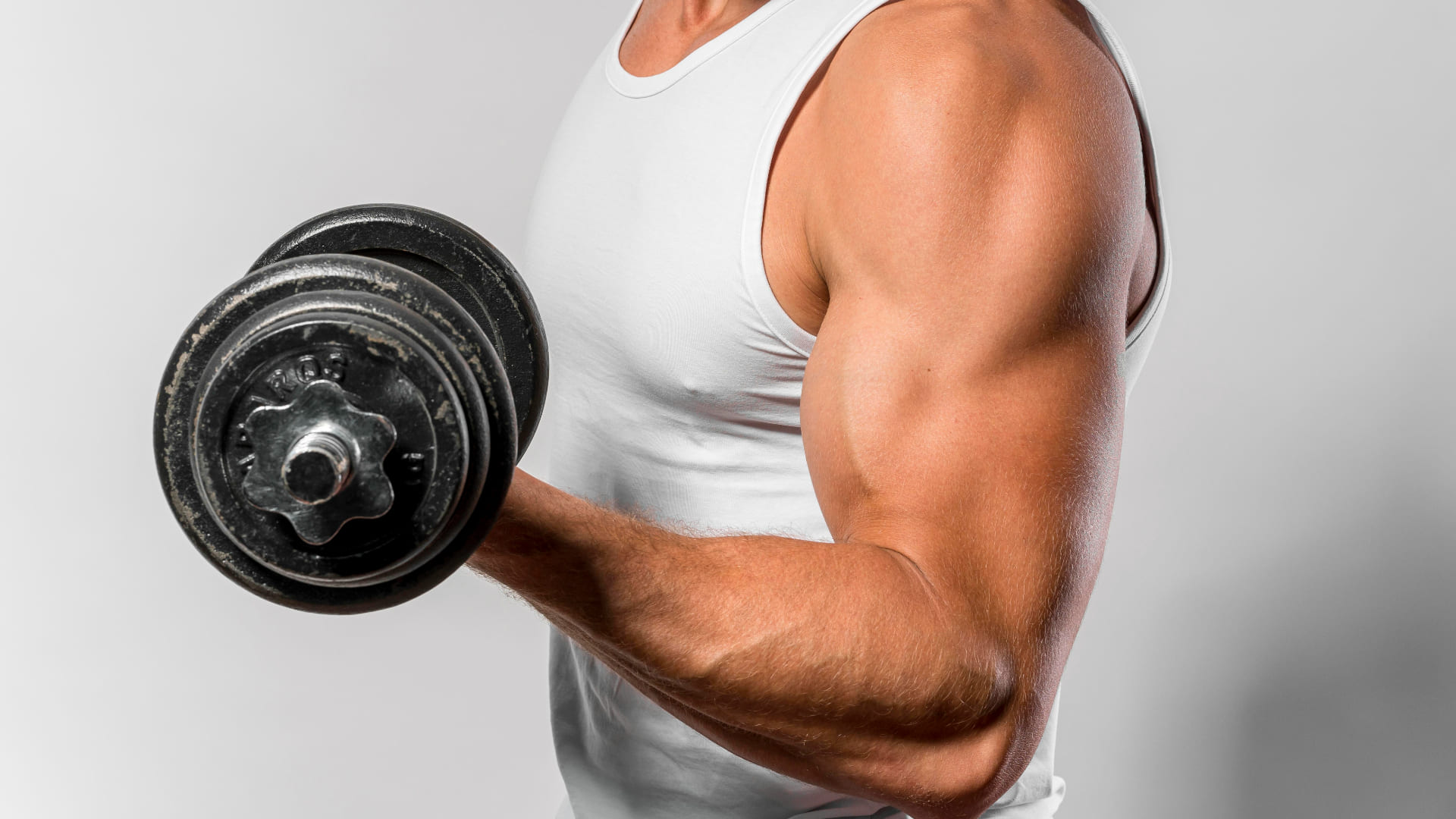 massa muscular