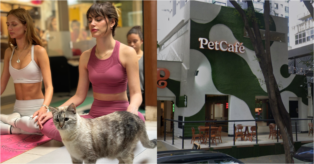 pessoas praticando yoga petcafé fachada