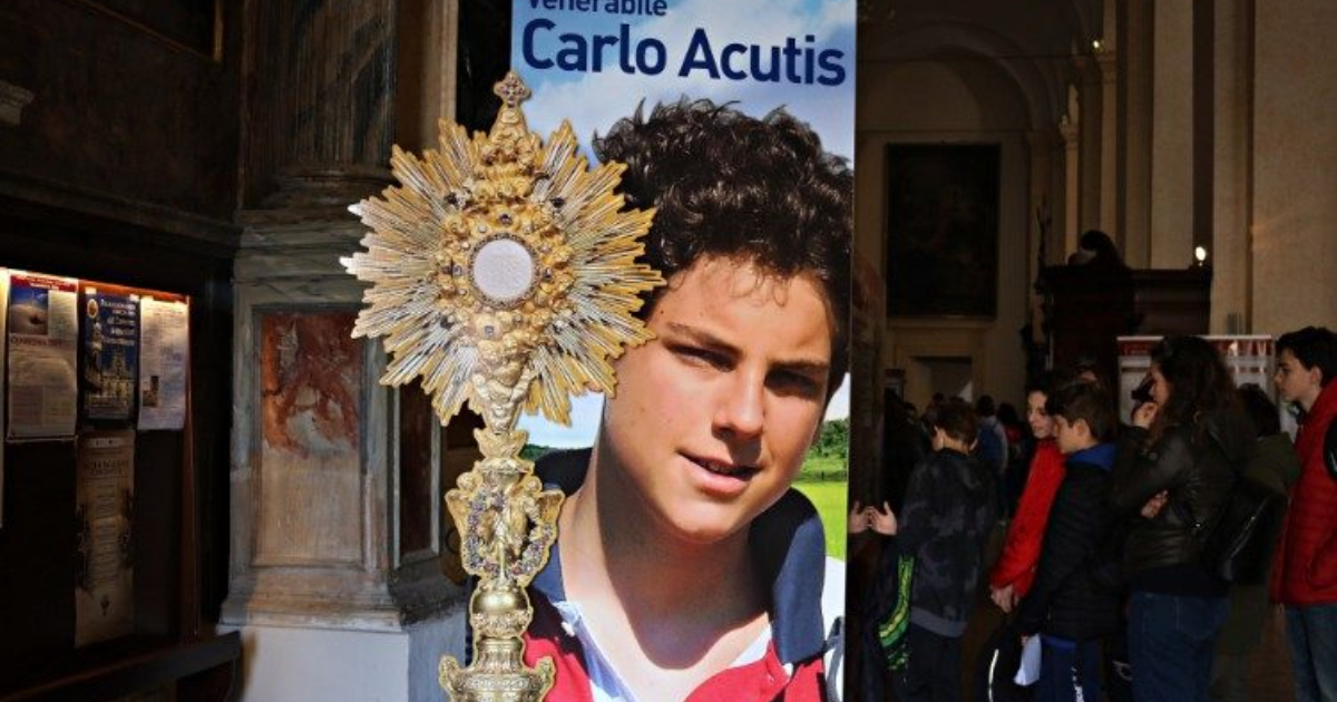 banner de carlo acutis