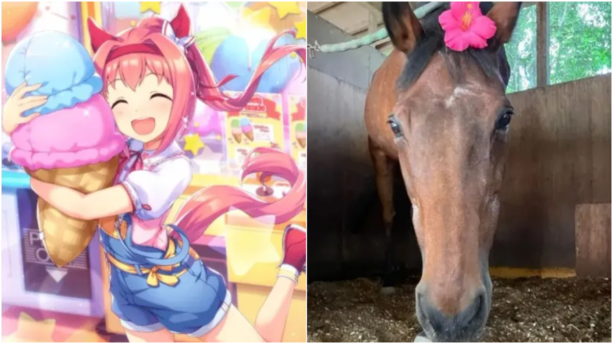 haru Urara égua