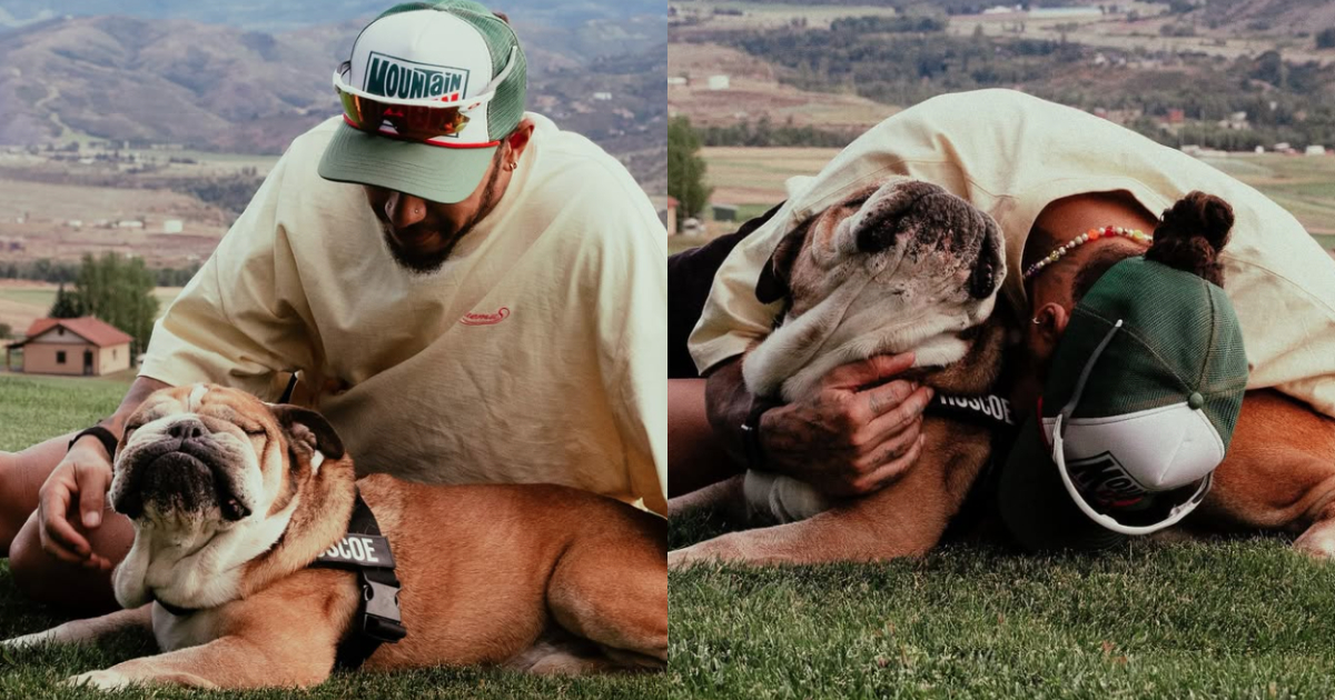 lewis hamilton e seu cachorro roscoe
