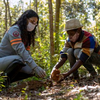 Anglo American é reconhecida pela Unesco por projeto em Minas