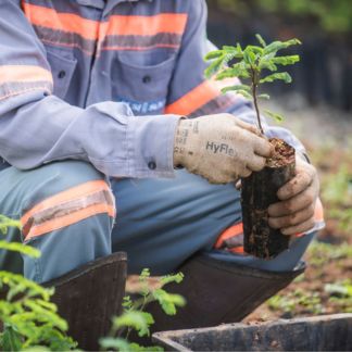 Anglo American é reconhecida pela Unesco por projeto em Minas