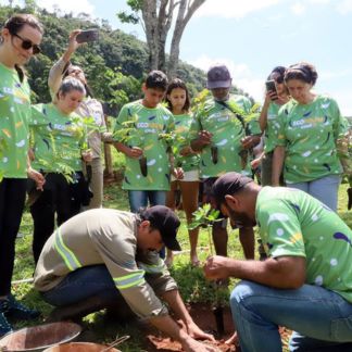 Anglo American é reconhecida pela Unesco por projeto em Minas