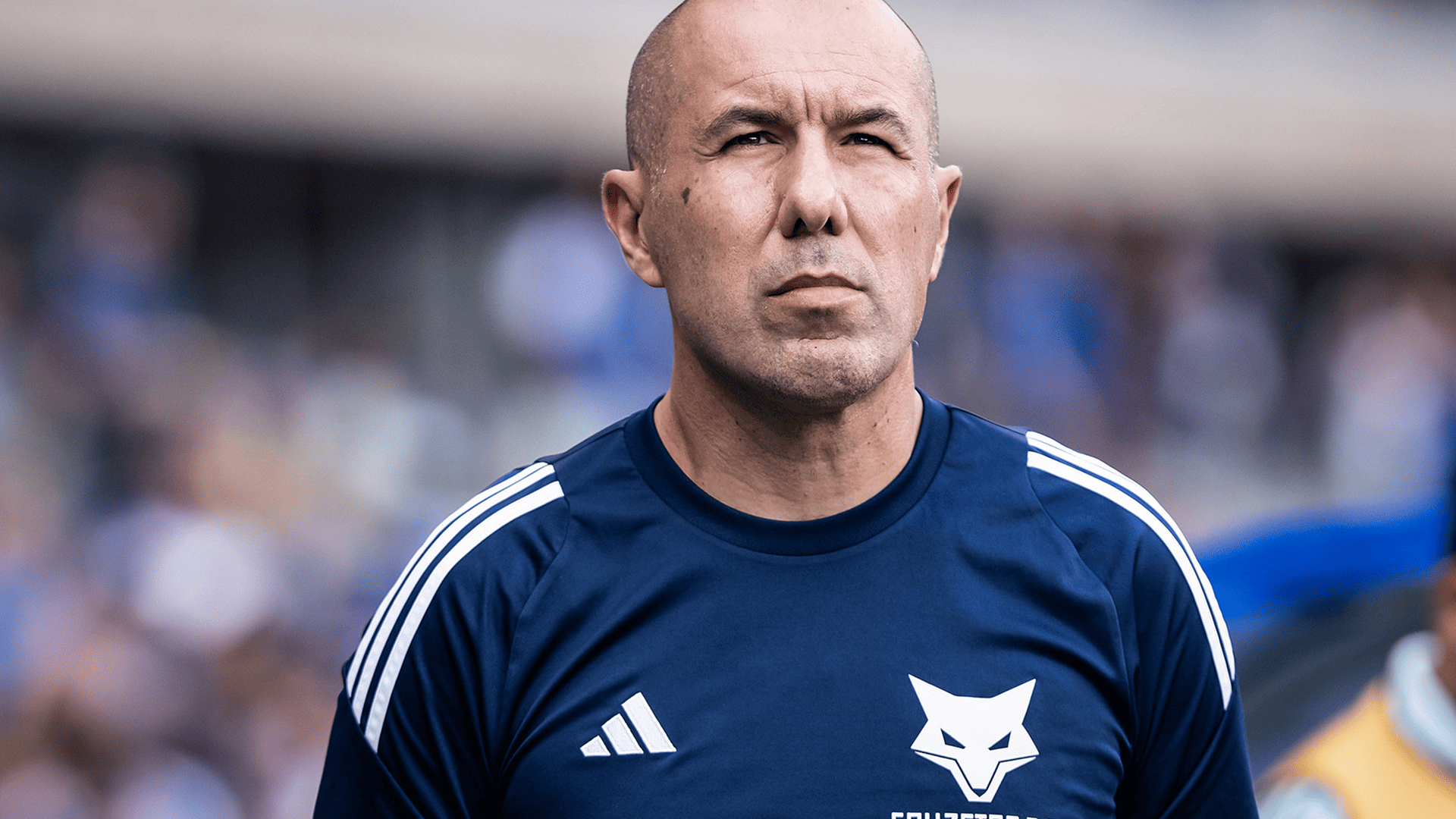 Treinadores estrangeiros