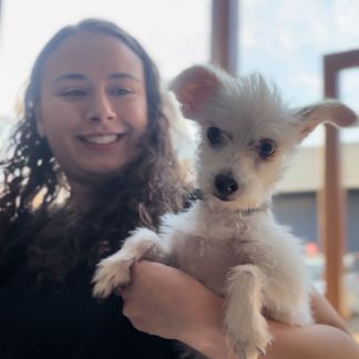 Medicina Veterinária UniBH