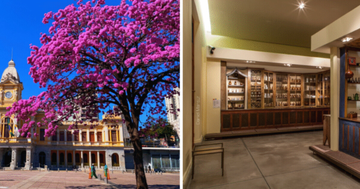 museu de artes e ofícios