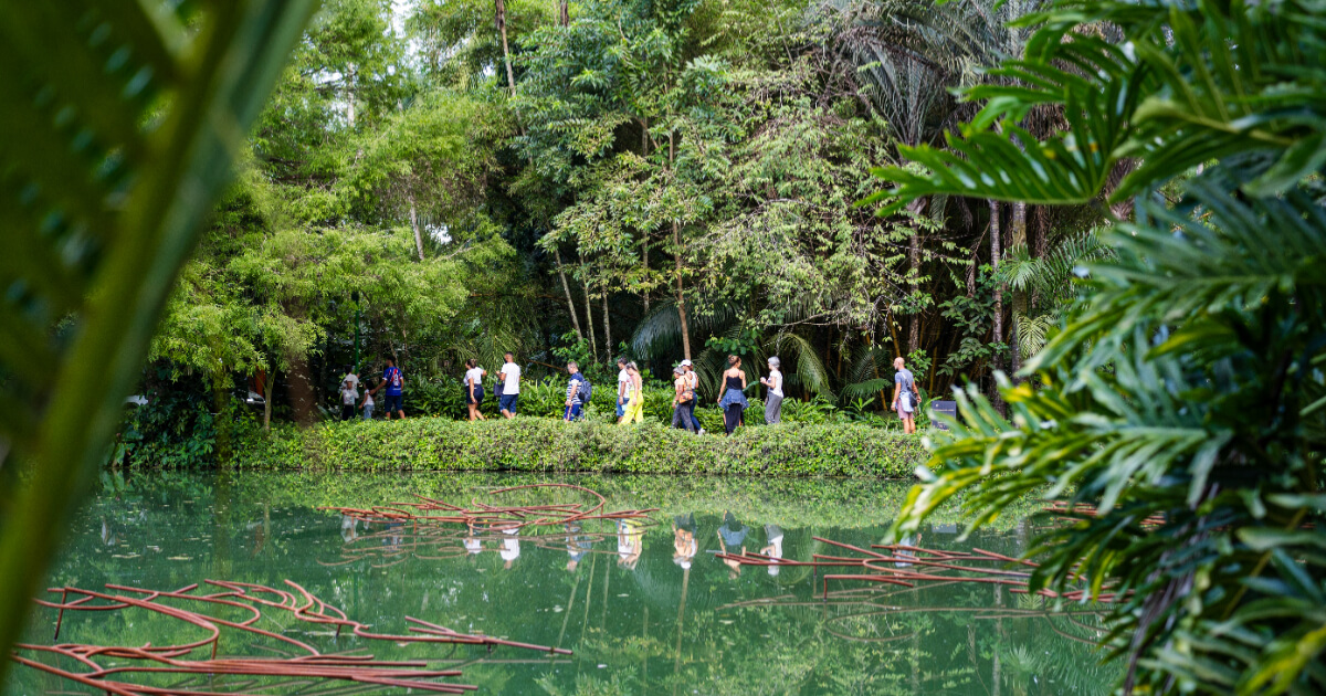 visitantes caminhando no inhotim