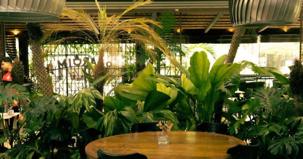 ambiente do jardim bar e cozinha