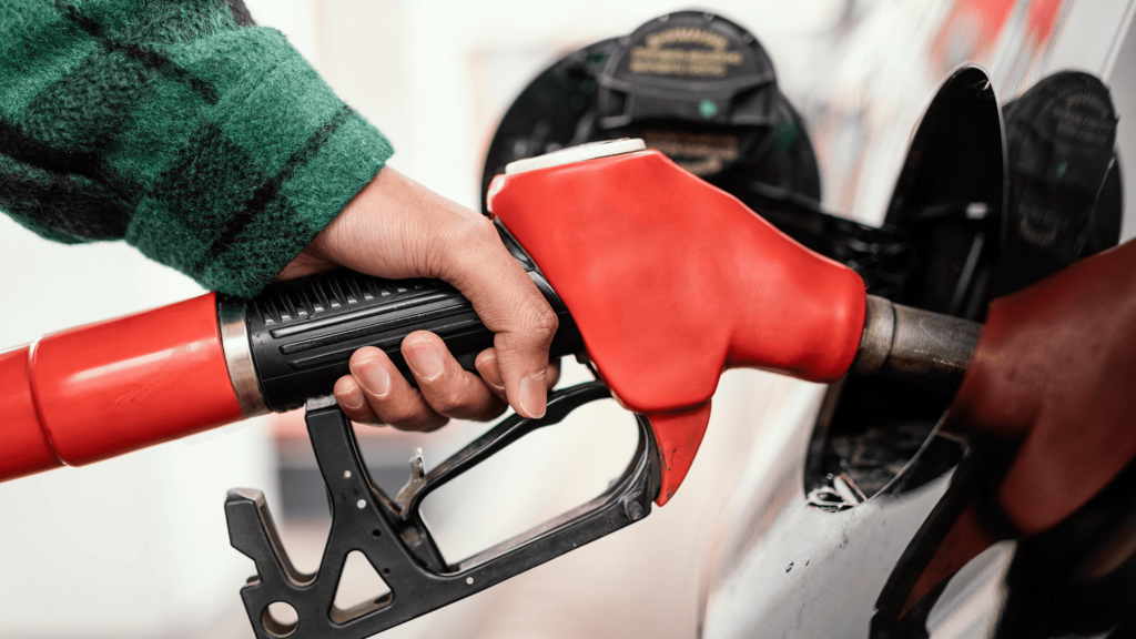 gasolina